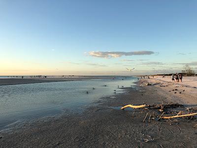 Sandee - Fort Desoto Beach Park