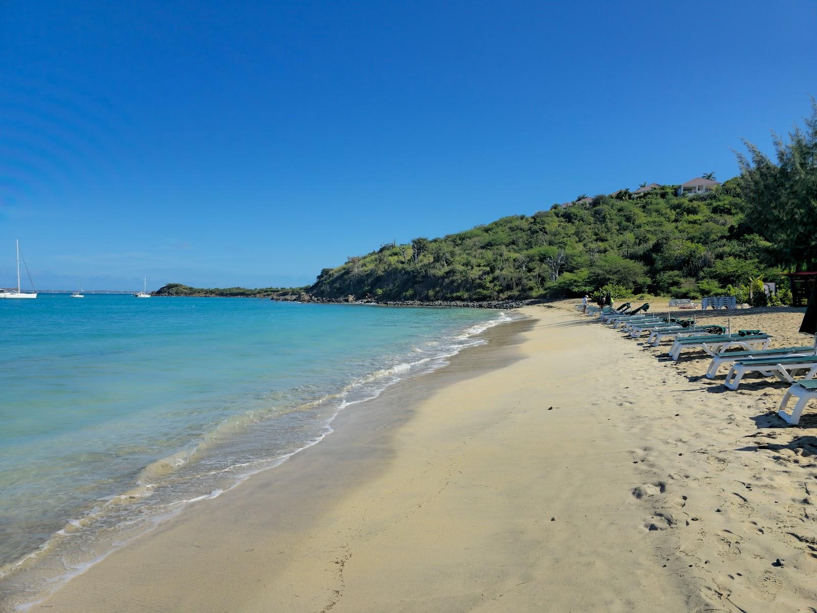 Sandee Friars Bay Beach Photo