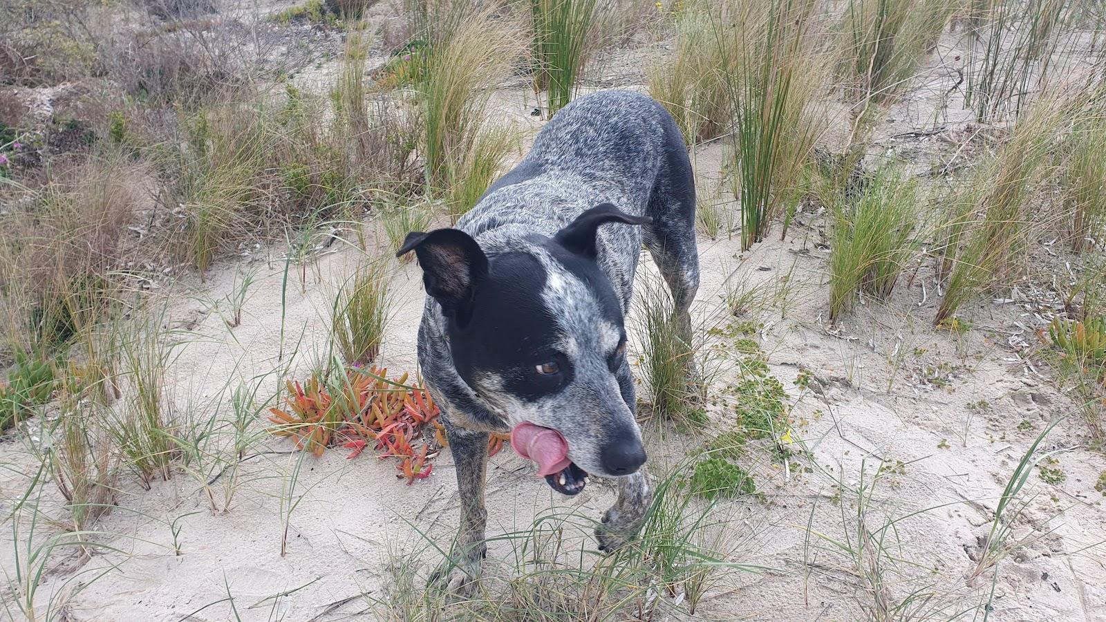 Sandee Broad Beach Photo