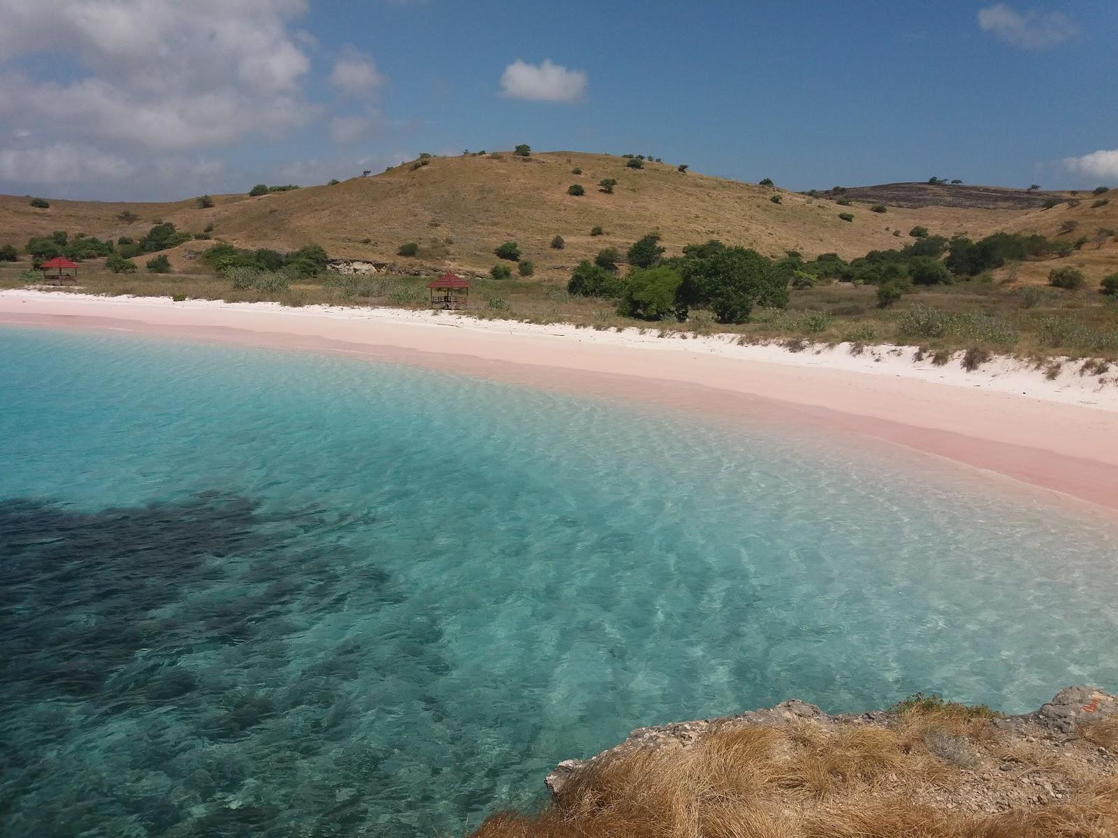 Sandee Pantai Pink Lambu Bima Photo