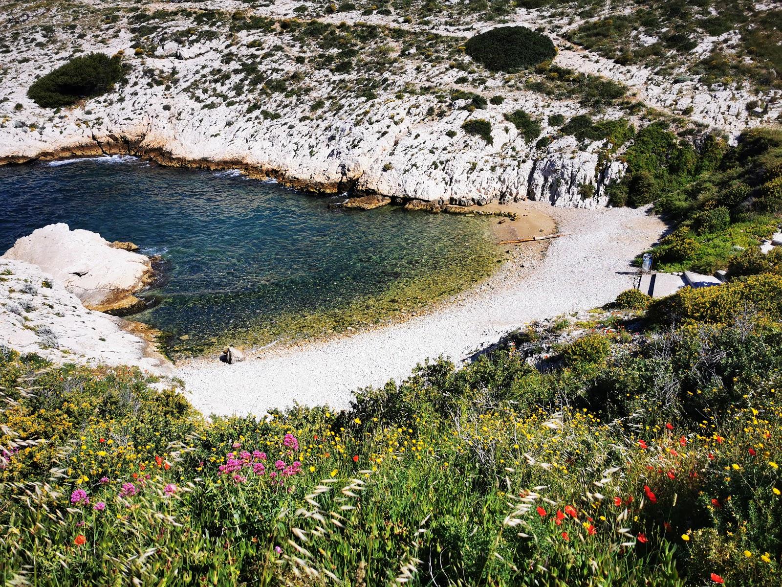 Sandee Plage Du Grand Soufre Photo