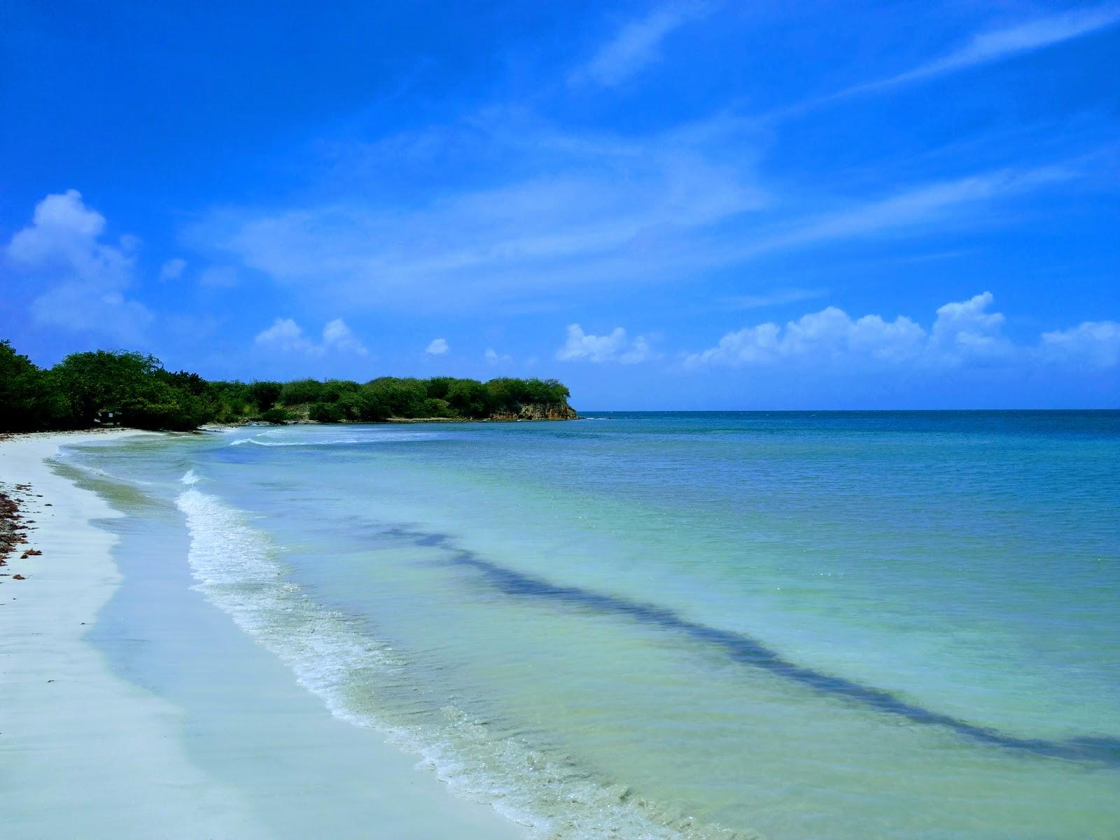 Sandee Halfpenny Beach Photo