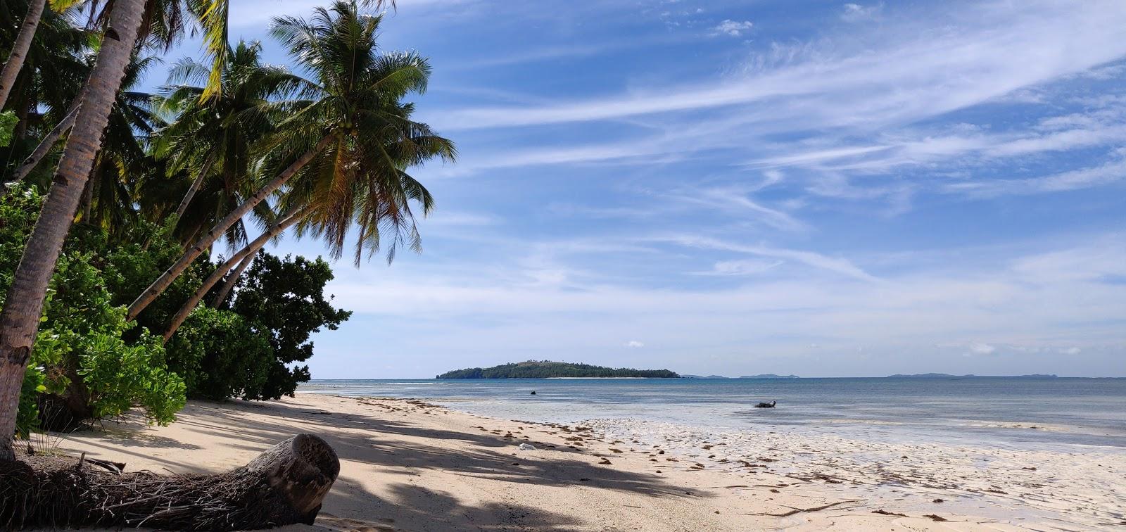 Sandee Tarzan's Beach Resort