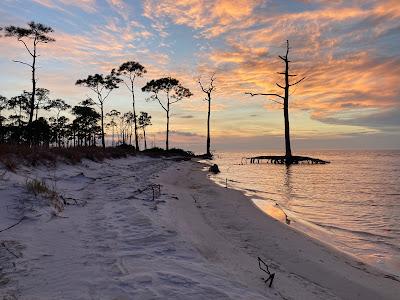 Sandee - Saint George Island State Park