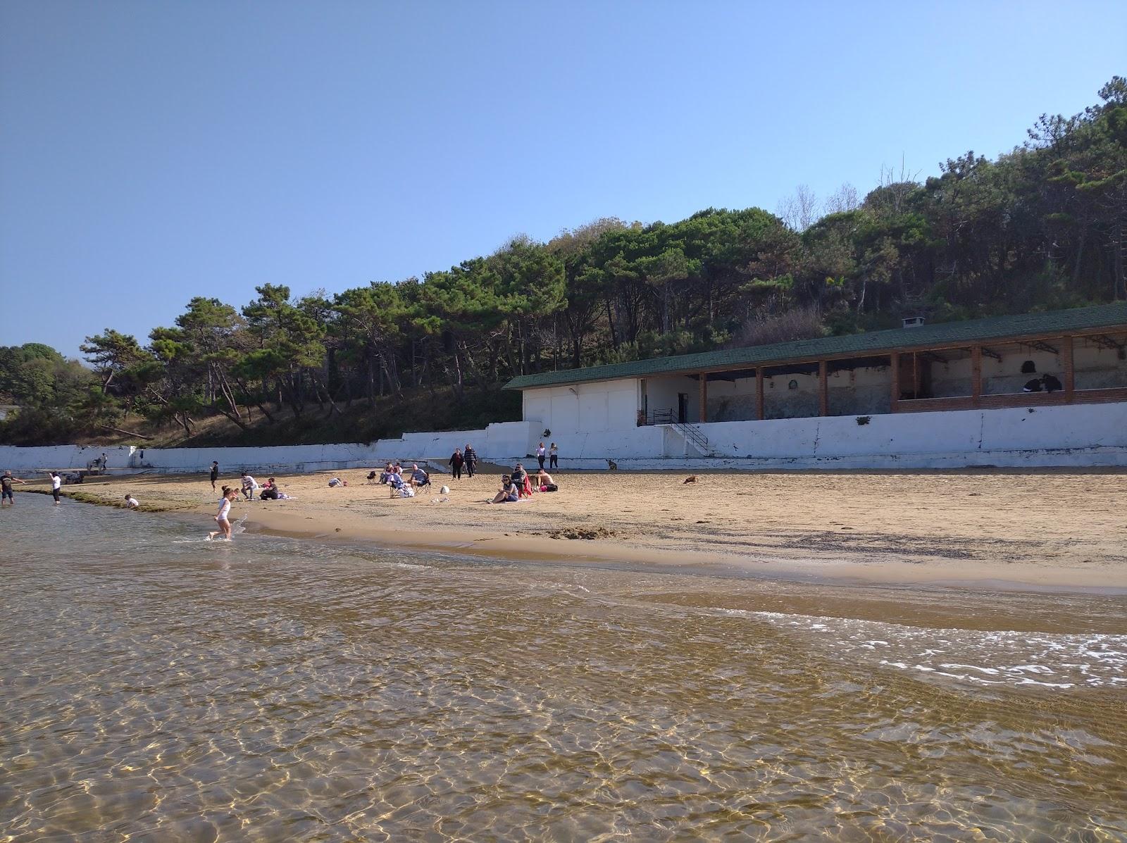 Sandee Demircikoy Beach