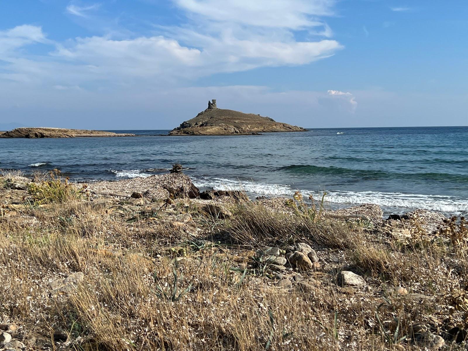 Sandee Plage Des Iles