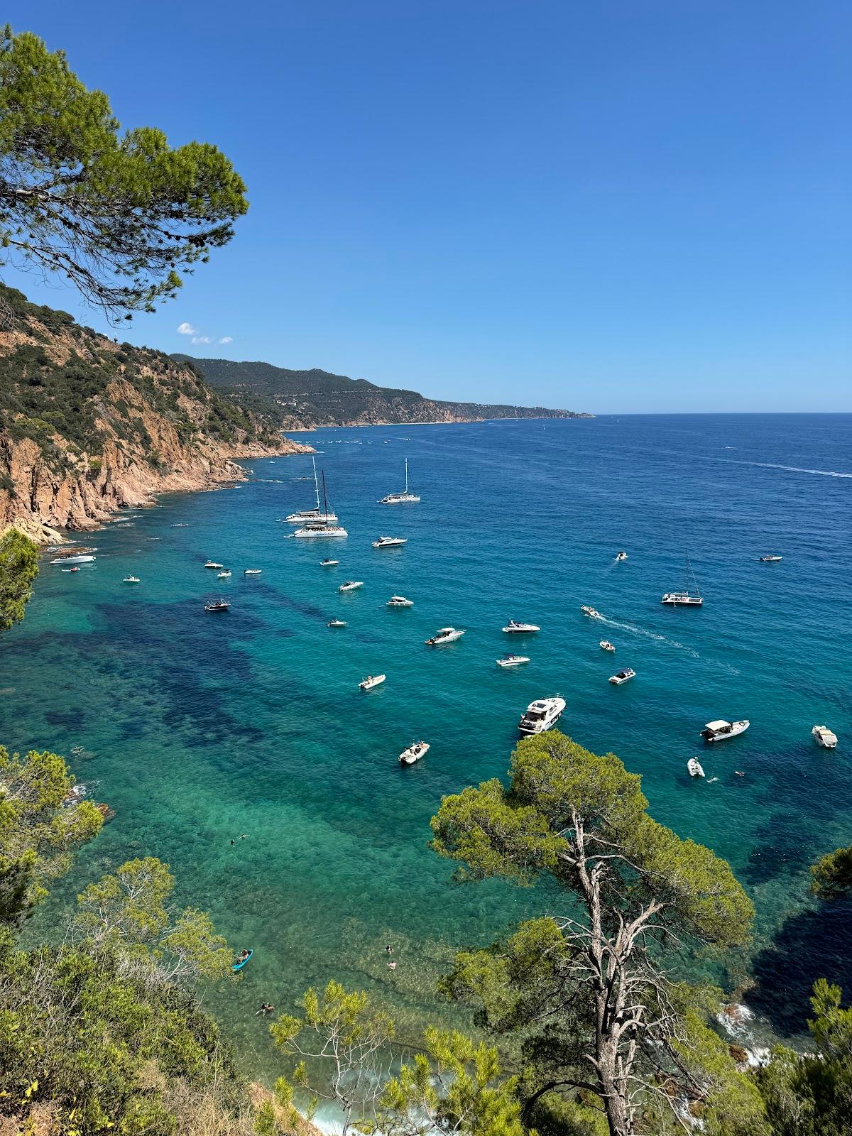 Sandee - Cala De Sa Futadera / Pentine