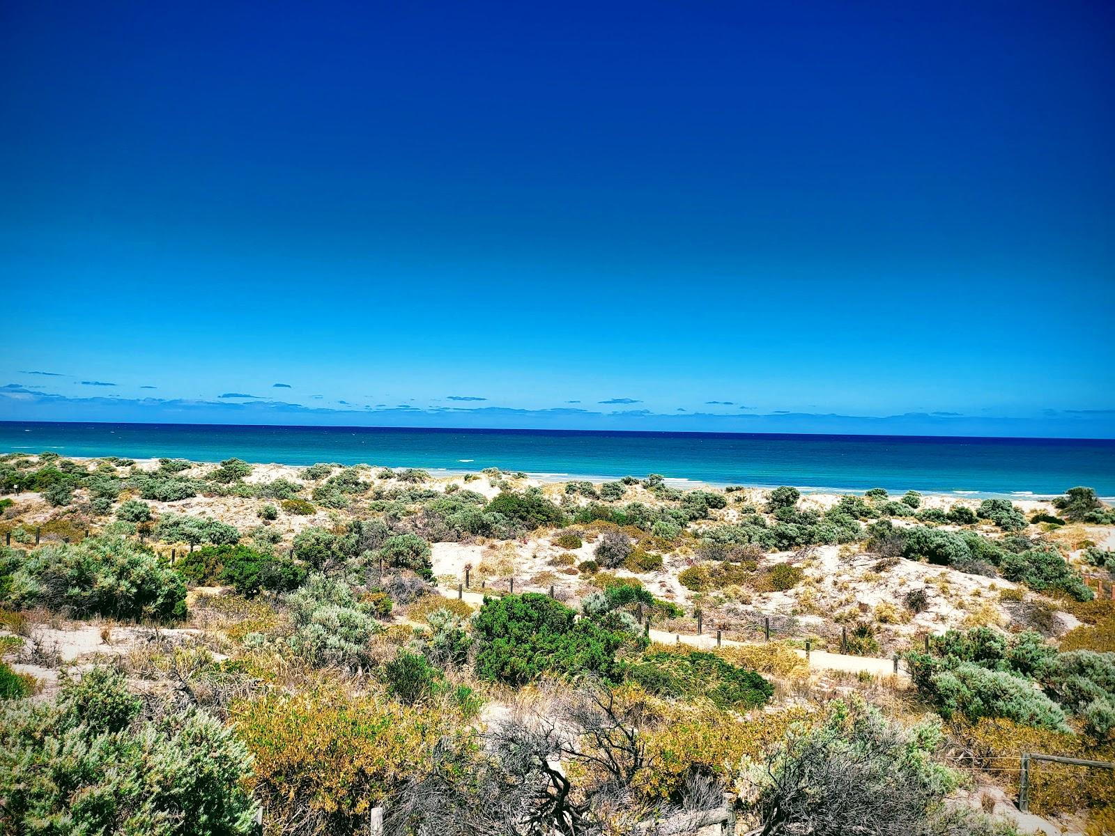 Sandee Tennyson Dunes