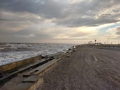 Sandee - Beach Coast