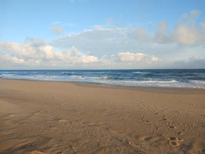 Sandee - Oceania Del Polonio Beach