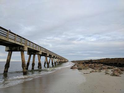 Sandee - Fort Clinch State Park