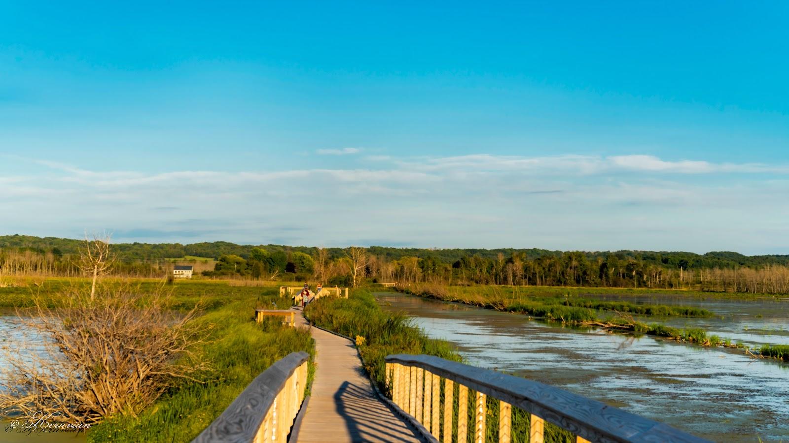 Sandee - Arcadia Marsh Preserve