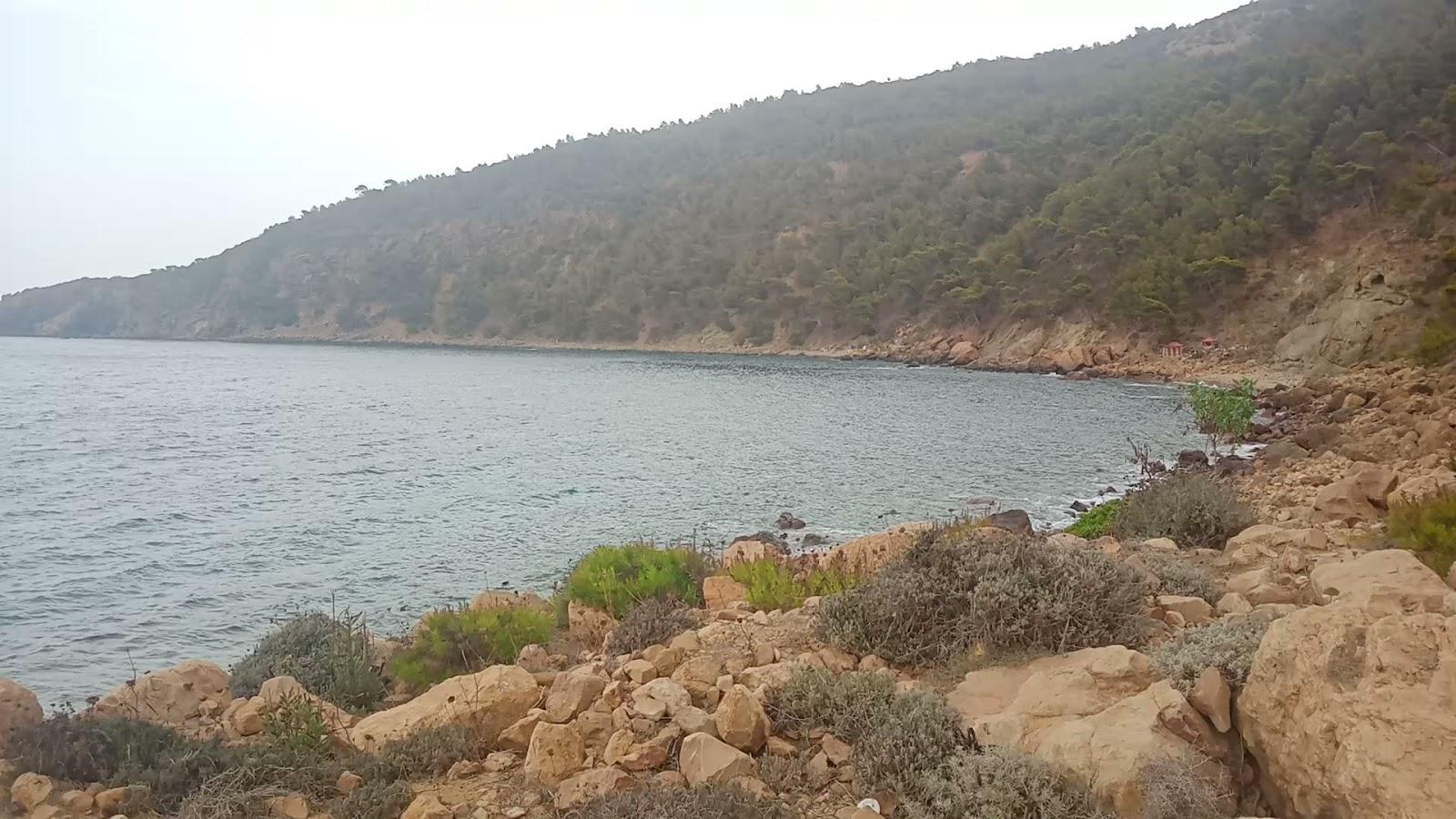Sandee El Tamzit Beach
