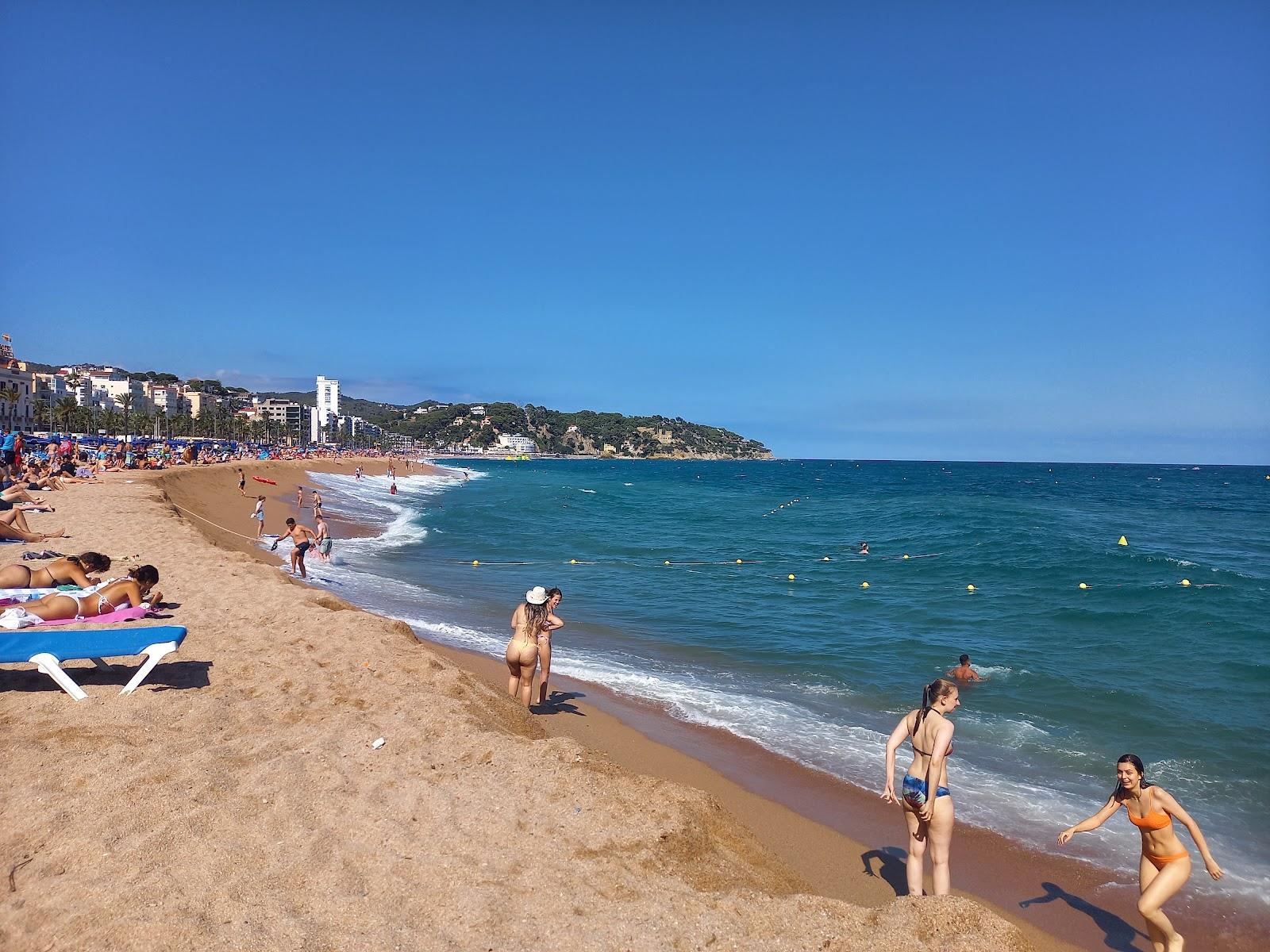 Sandee Lloret Beach