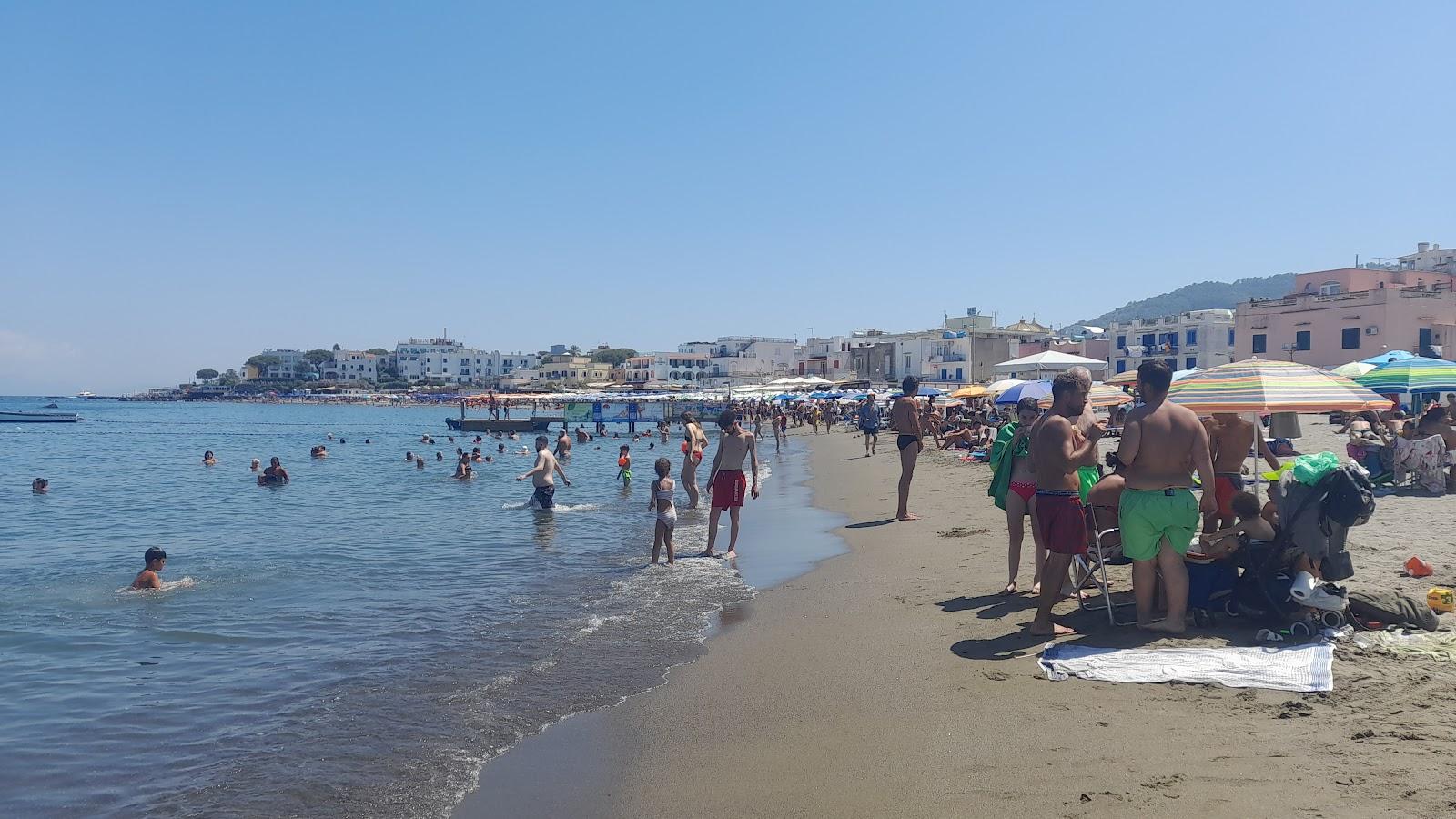 Sandee Spiaggia Di San Pietro