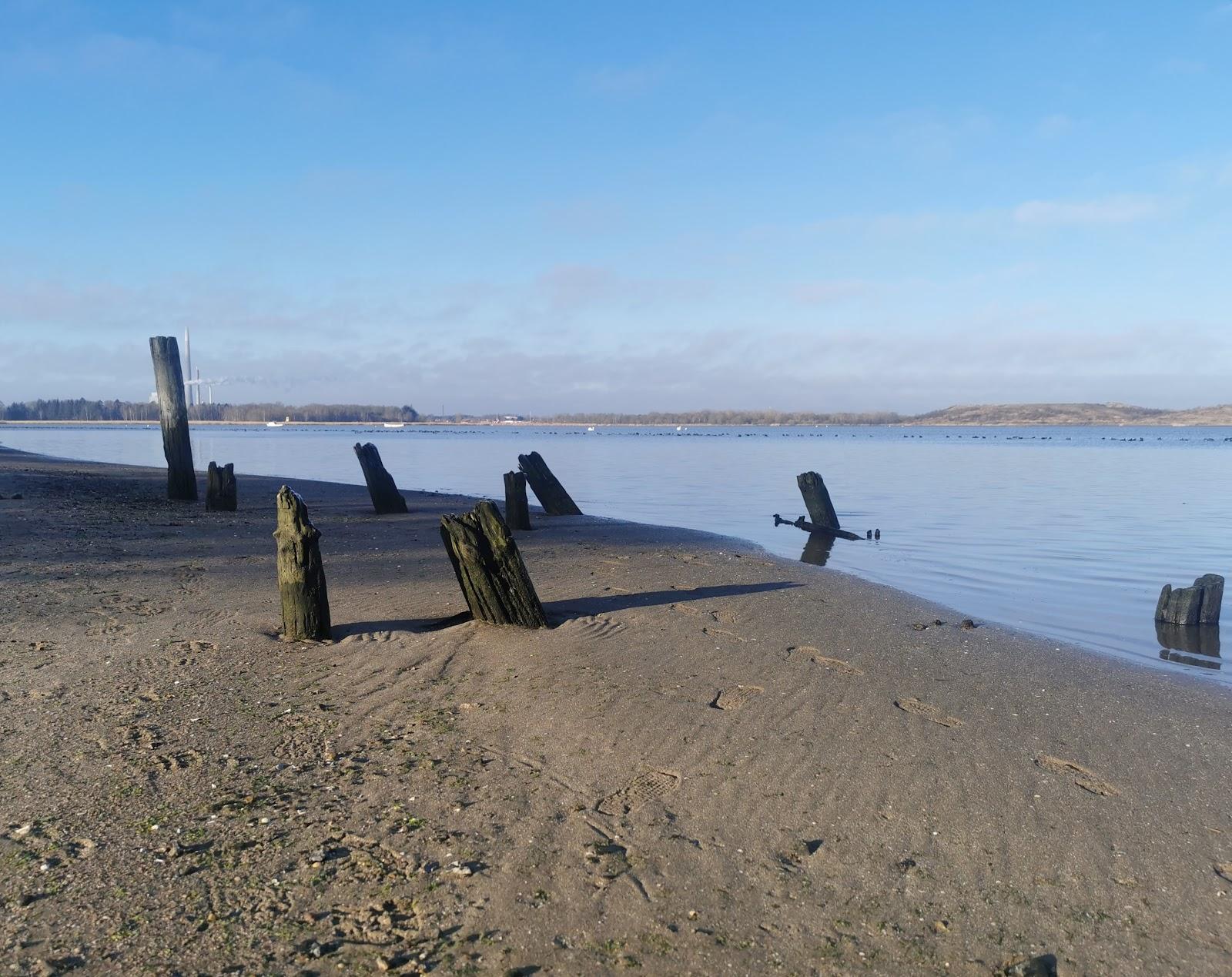 Sandee Seden Strand