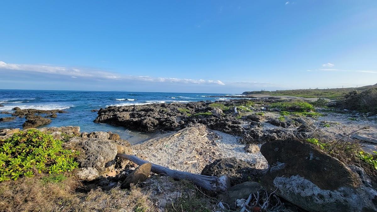 Sandee Driftwood Beach Photo