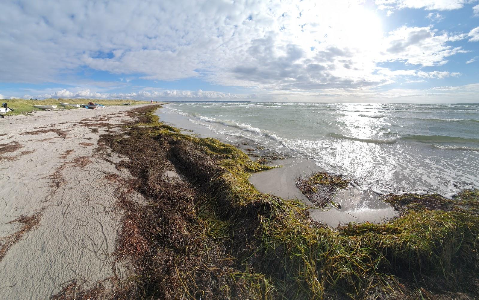 Sandee Gudmindrup Beach