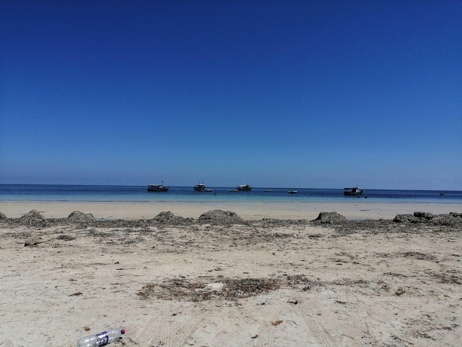 Sandee El Ogla Beach