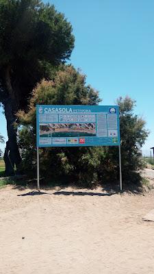 Sandee - Casasola Beach