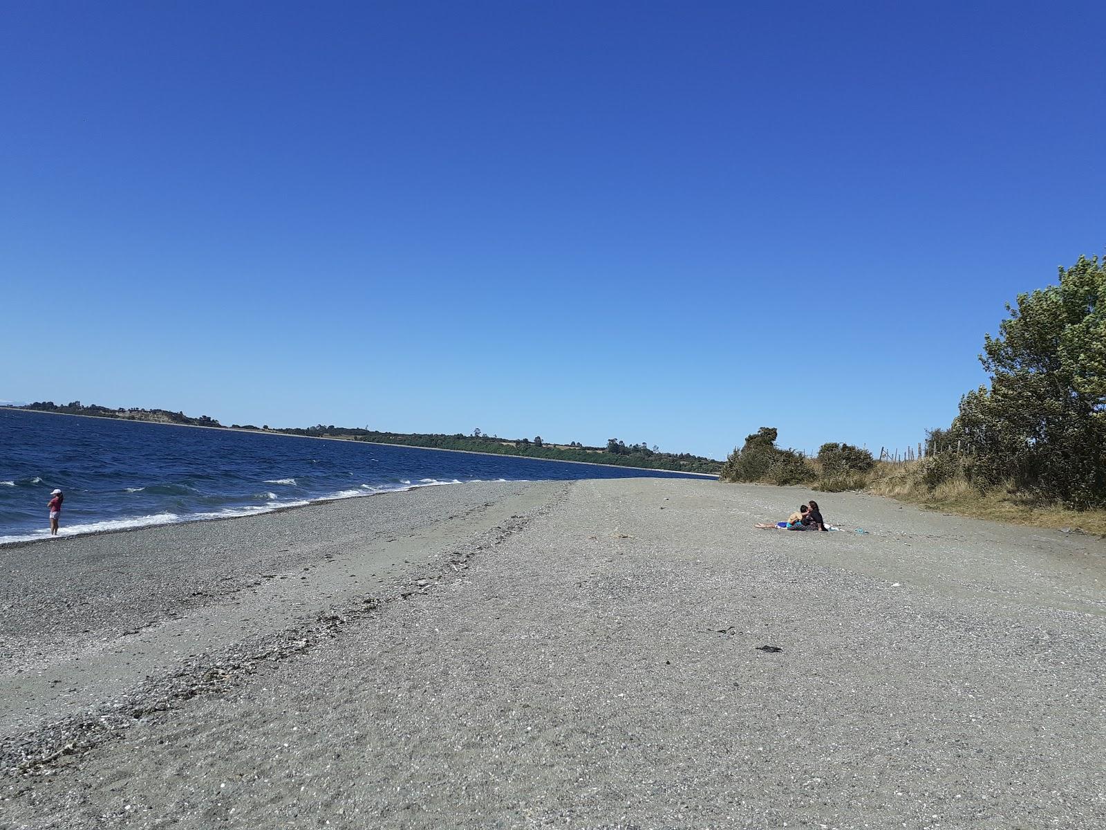 Sandee Playa La Arena