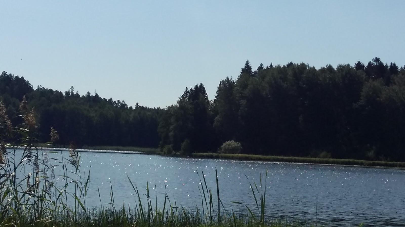 Sandee Pitkajarvi, Public Beach
