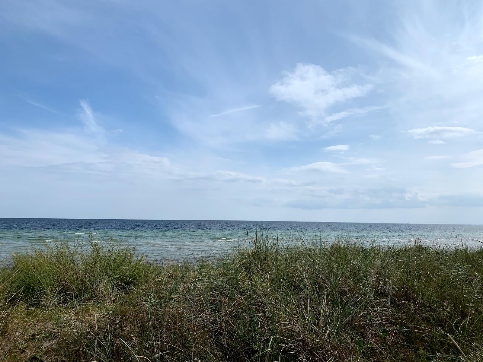 Sandee Legeplads Hundige Strand Photo