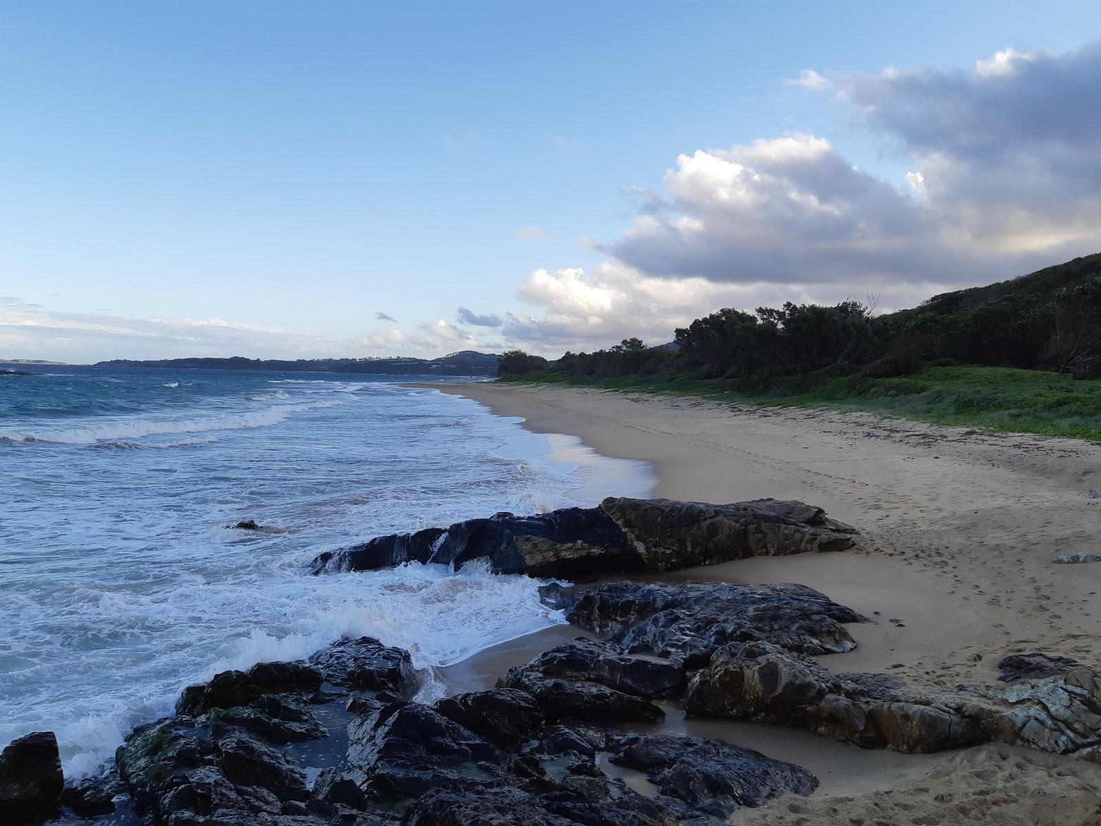 Sandee Campbells Beach Photo