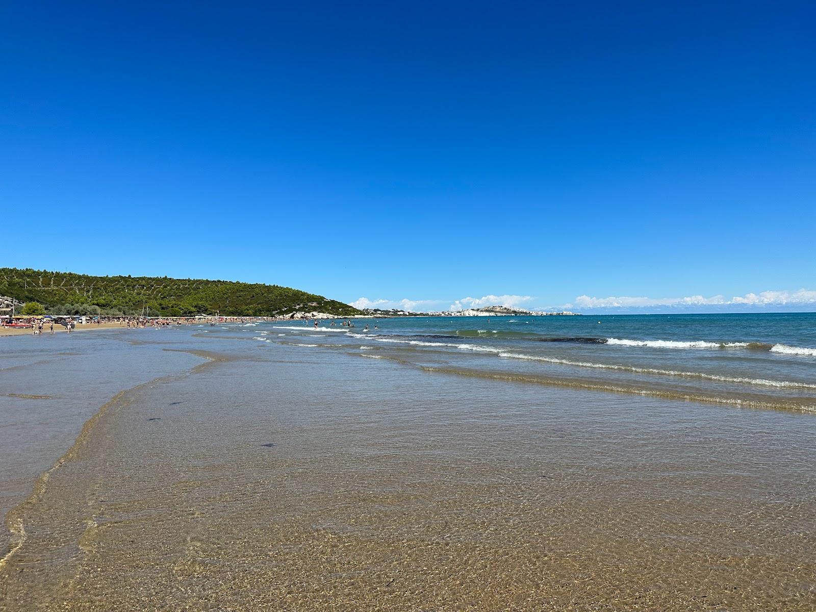 Sandee Porto Nuovo Beach