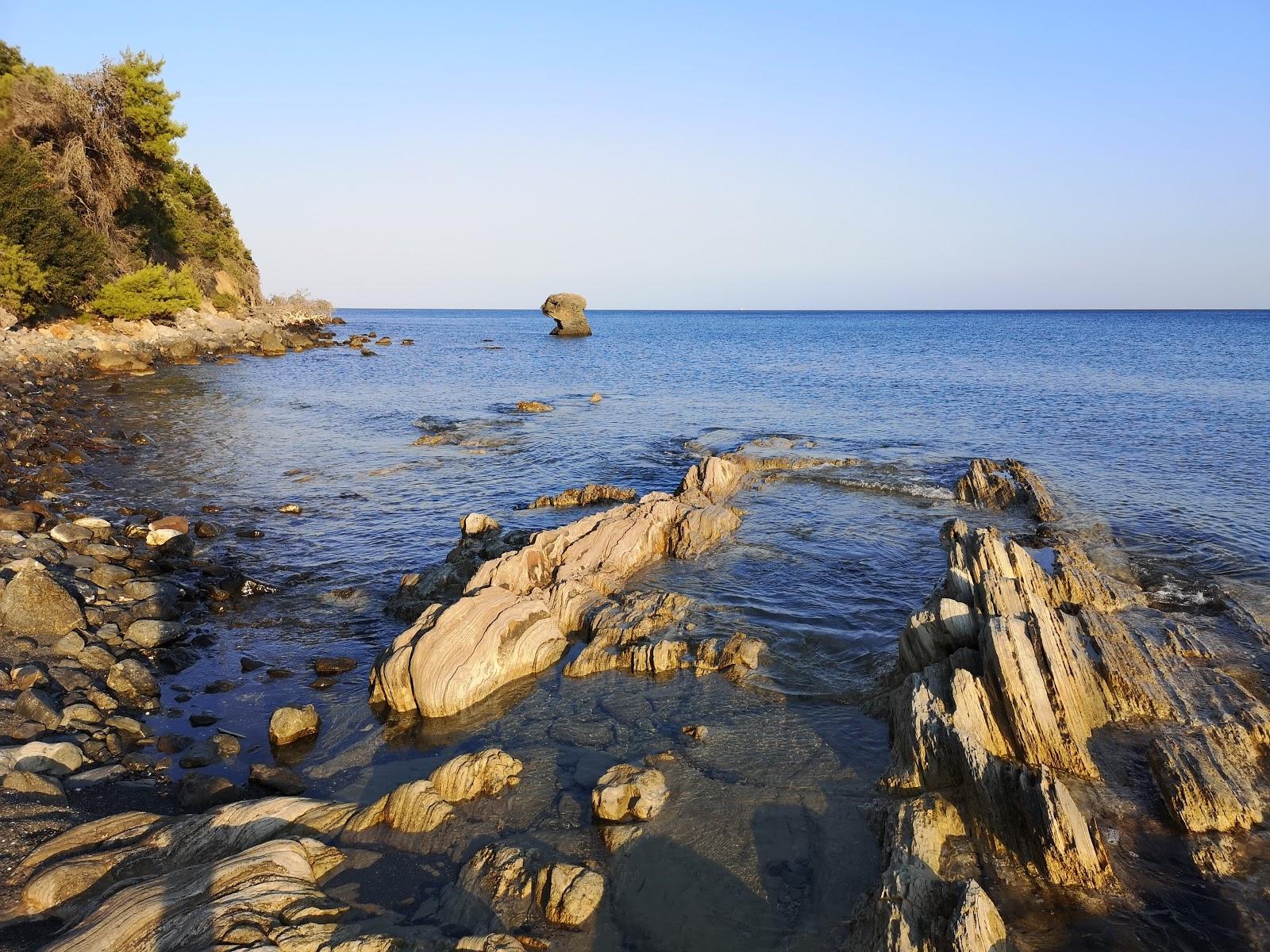 Sandee Shoreline Beach