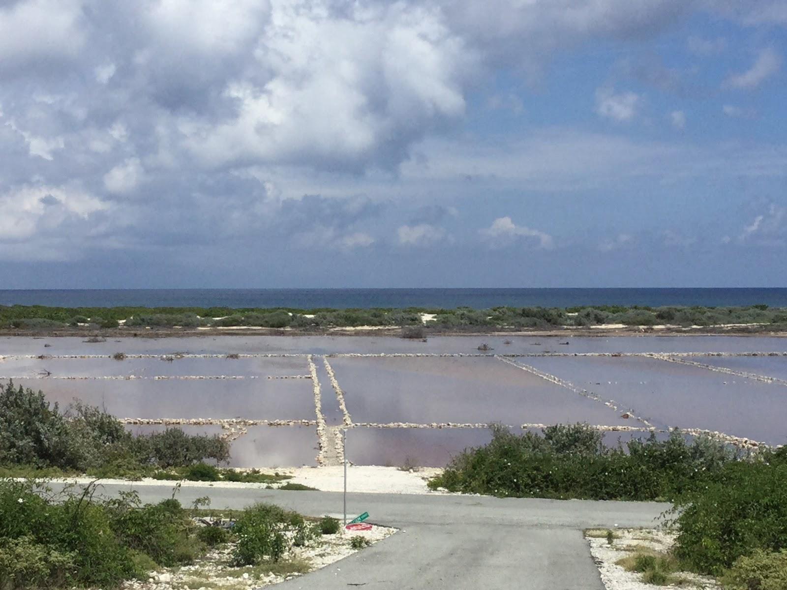 Sandee Drain Bay Beach