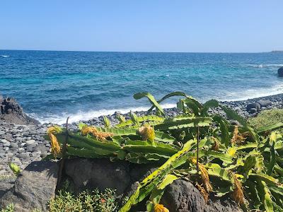 Sandee - Playa De Las Eras