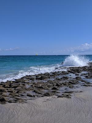 Sandee - Ocean Reef Park