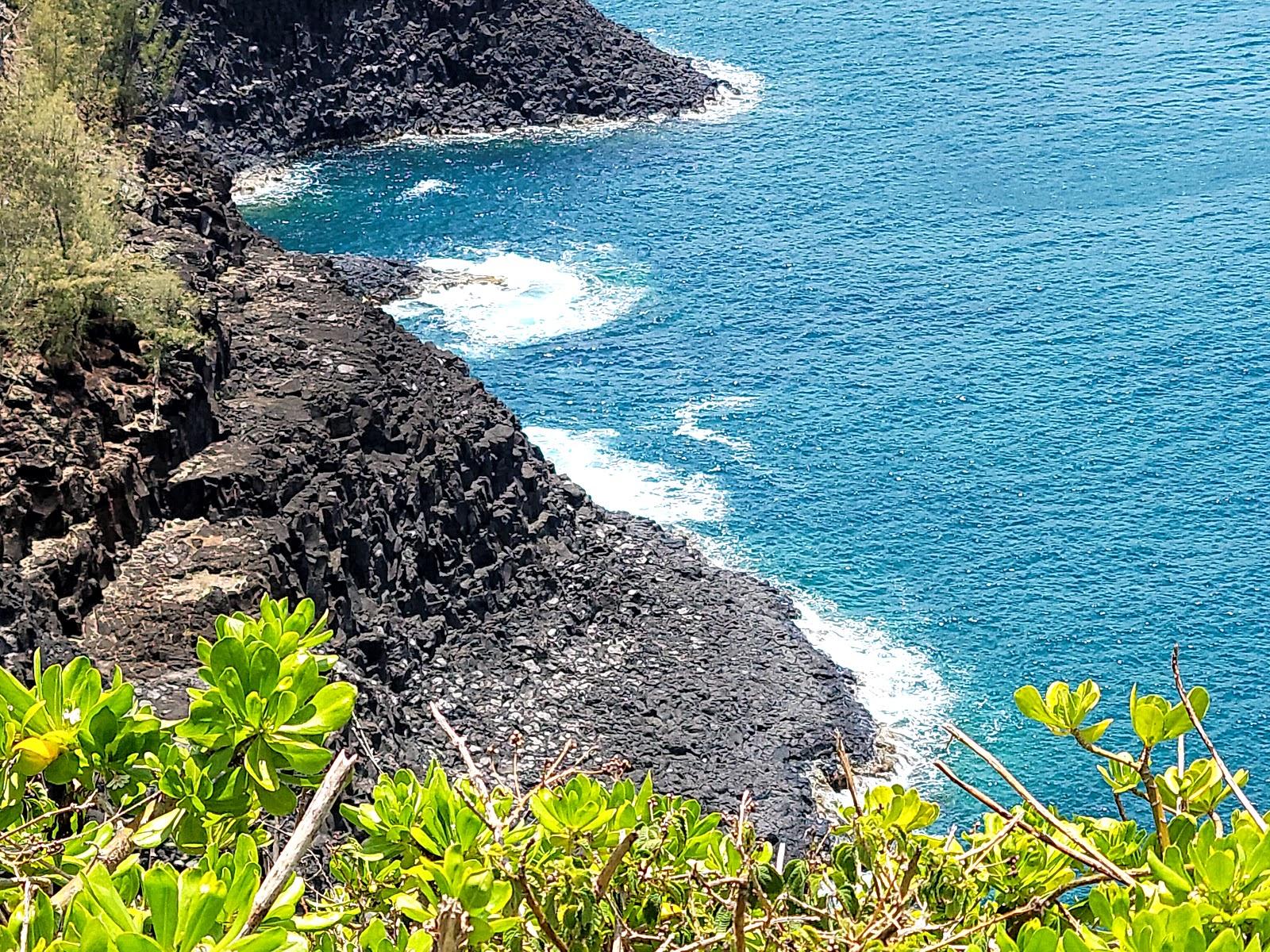 Sandee - Kilauea Point