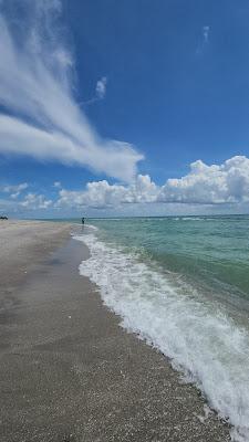 Sandee - South Brohard Park Beach