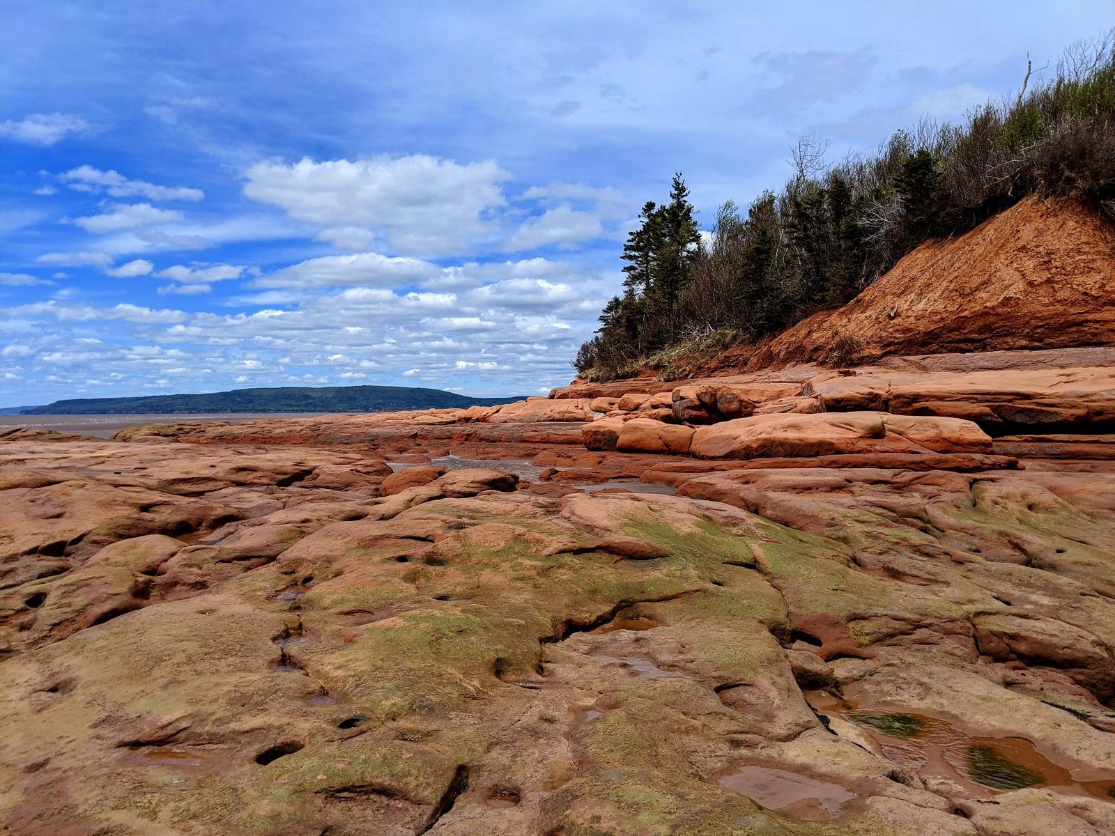 Sandee Thomas Cove Coastal Reserve Photo