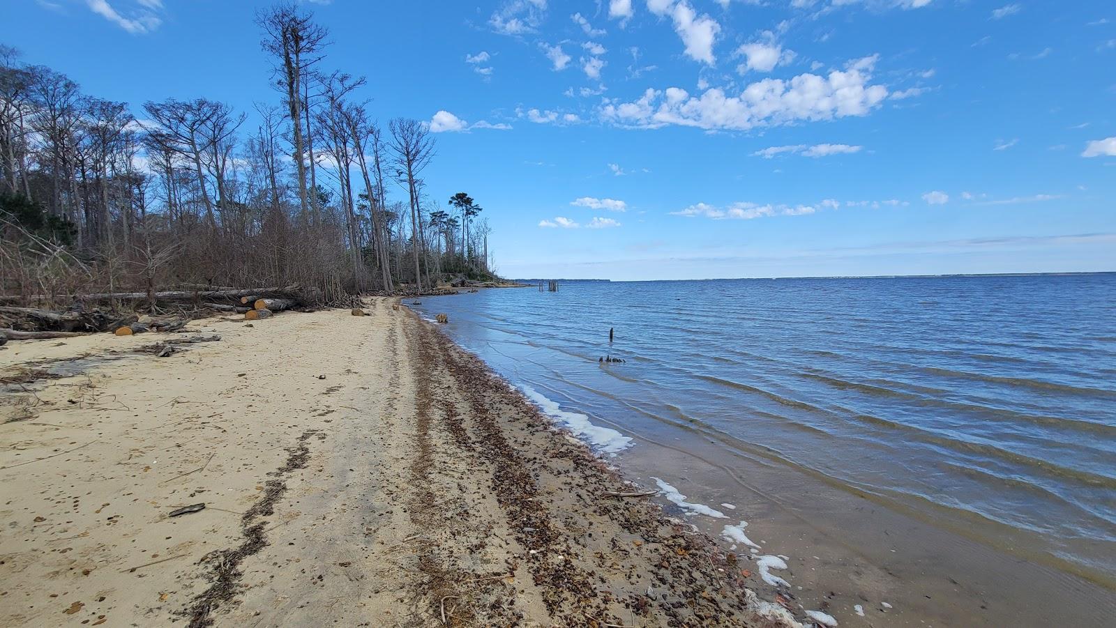 Sandee Neuse River - Flanner's Beach