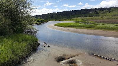 Sandee - The Salmon Center