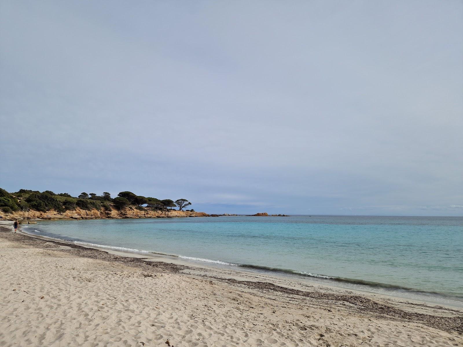 Sandee - Plage d'Acciaghju