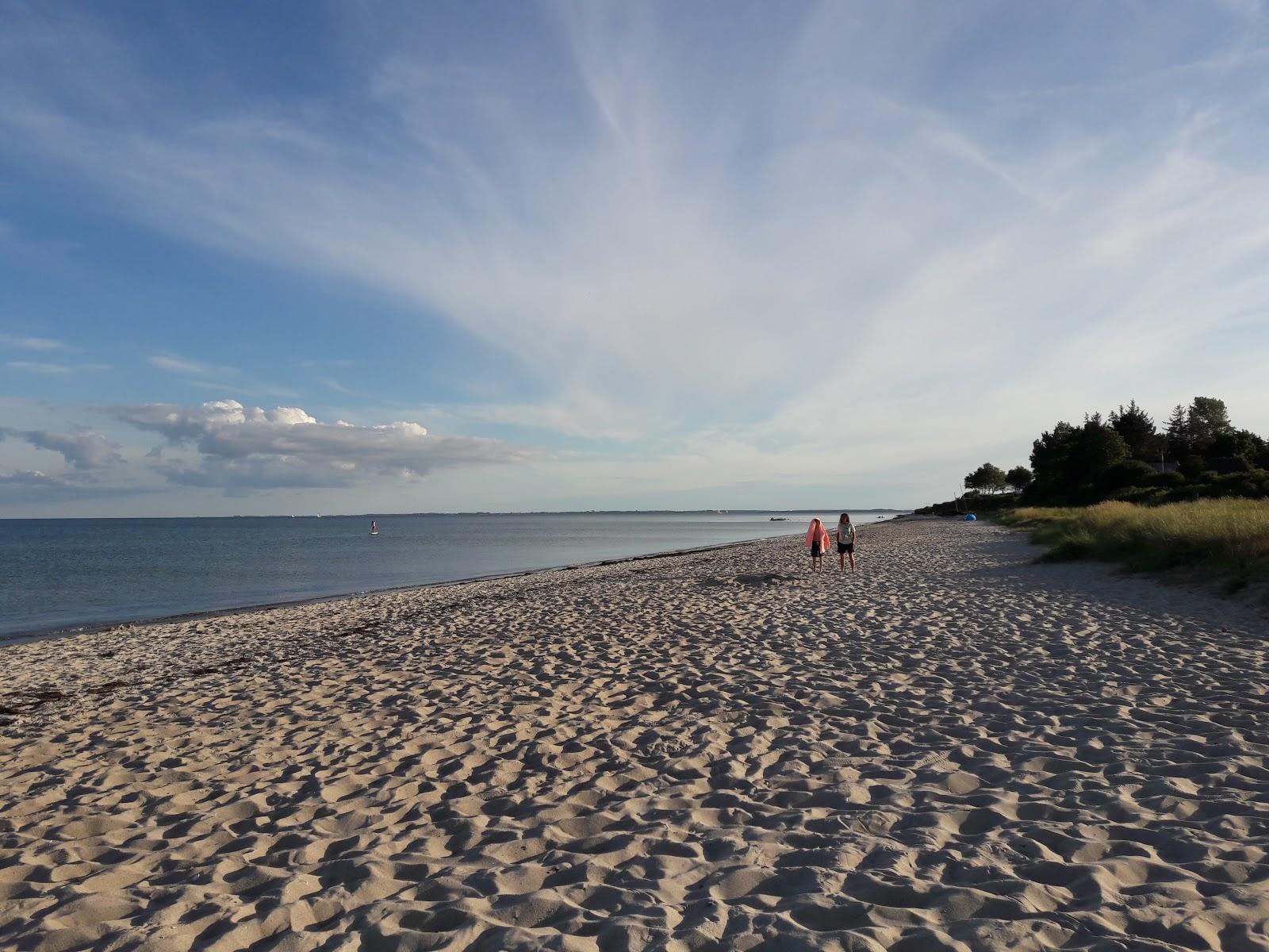 Sandee Skovmosestrand