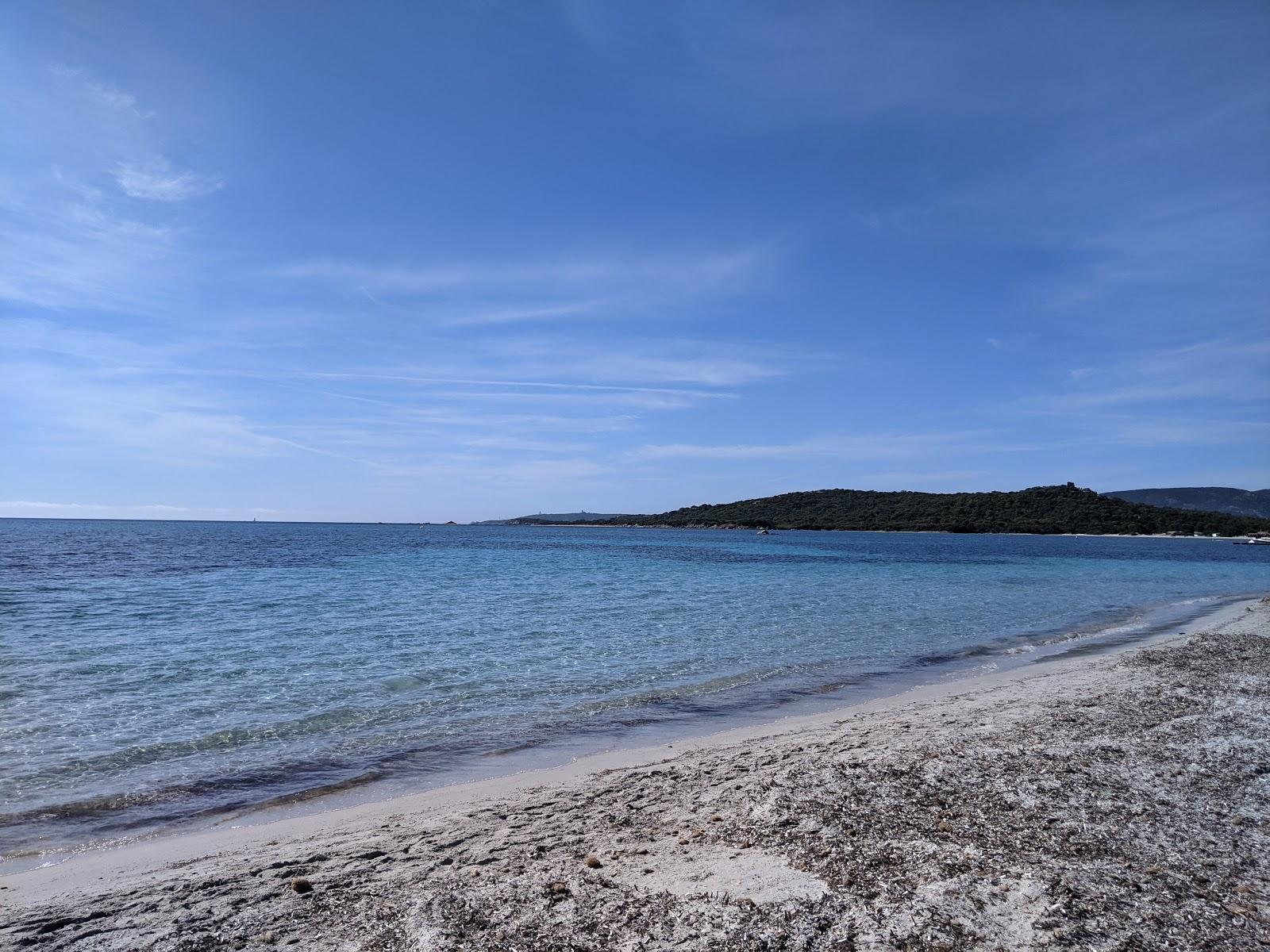 Sandee - Plage De La Punta San Ciprianu