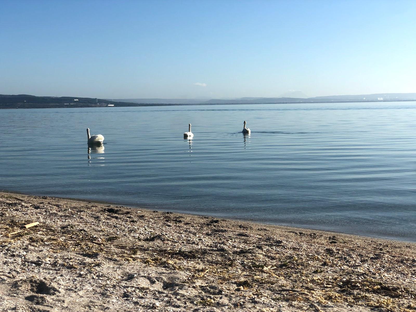 Sandee - Plage De Monteau
