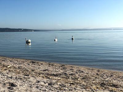 Sandee - Plage De Monteau
