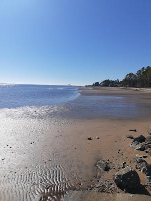 Sandee - Dickerson City Beach