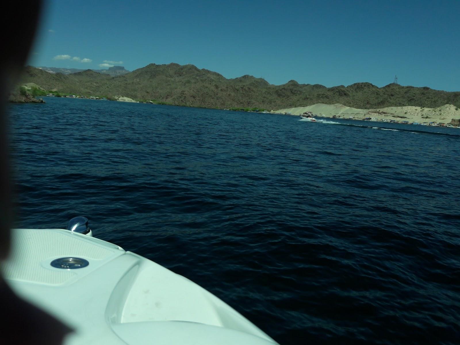 Sandee Davis Cove