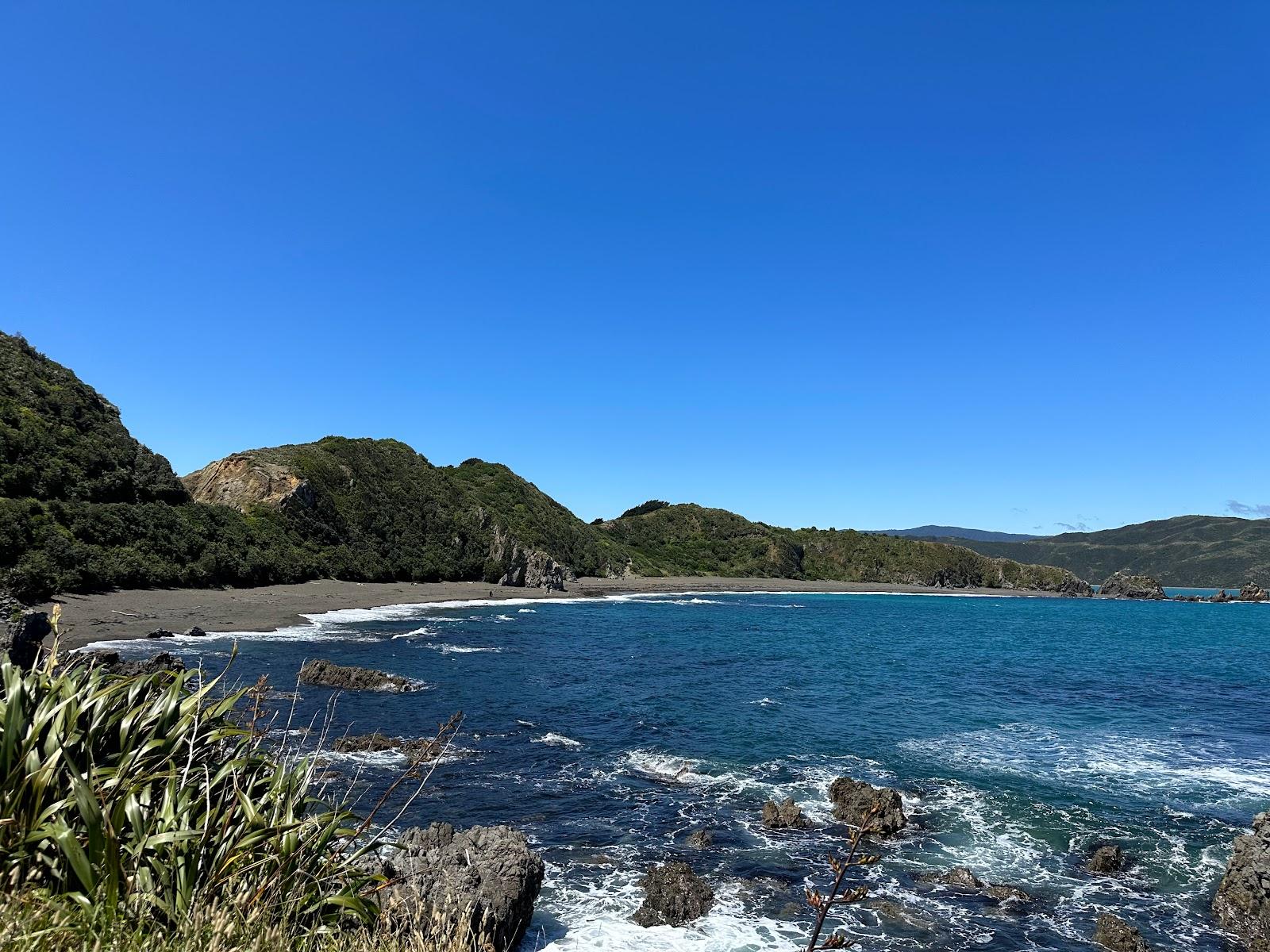 Sandee Evans Bay Beach, Wellington