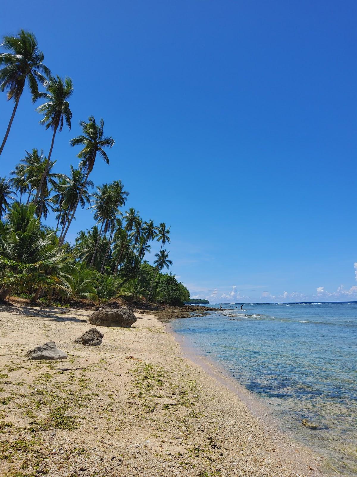 Sandee Mankidi Beach Photo