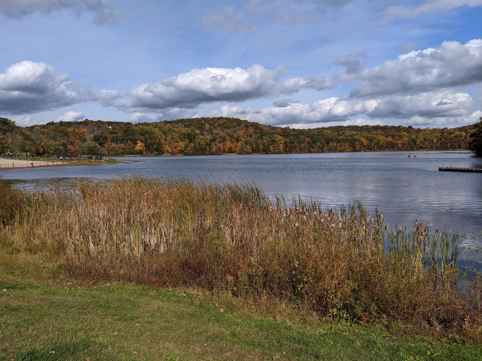 Sandee - Sheppard Pond Beach