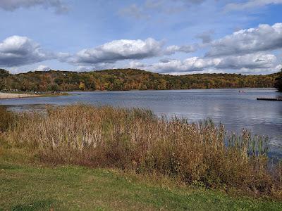 Sandee - Sheppard Pond Beach