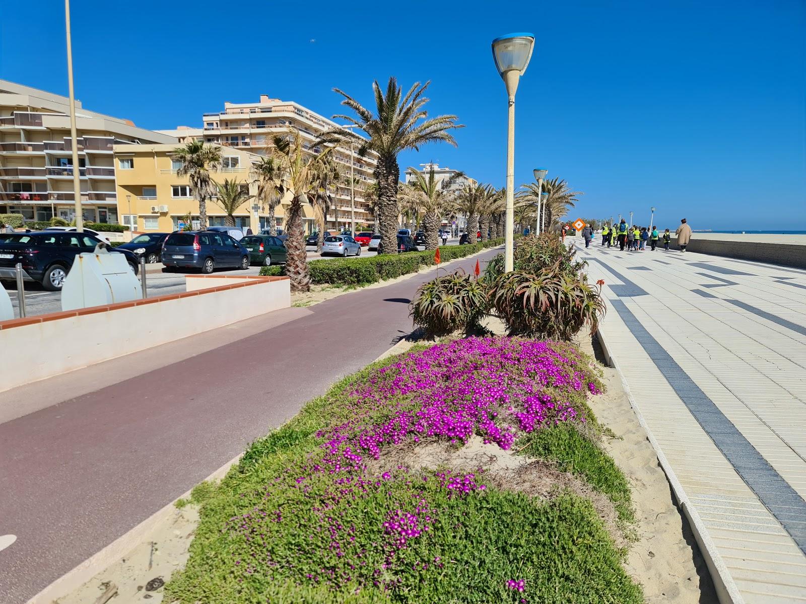 Sandee Plage Du Roussillon Photo